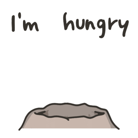 Starve Hungry Sticker - Starve Hungry Hangry Stickers