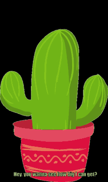 Cactus Kinky GIF - Cactus Kinky Naughty GIFs