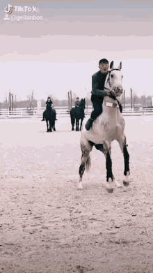 a man riding a white horse on its hind legs