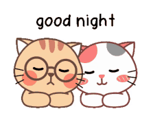 goodnight cat cute sleeping sweet dreams