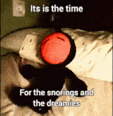 a stuffed animal laying on a bed with the words " it 's the time for the snorings and the dreamies " above it