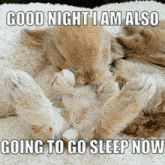 Good Night Bunny GIF - Good Night Bunny I Am Going To Go Sleep Now GIFs