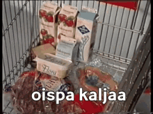 Oispa Kaljaa Kaljaa GIF - Oispa Kaljaa Kaljaa Kalja GIFs