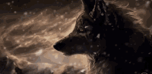 Wolf Snow GIF - Wolf Snow GIFs