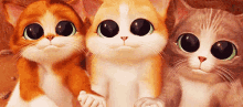 حلوين GIF - Sweet Cute Kitten GIFs