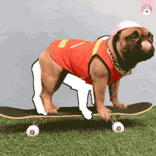 Little Paws Dog GIF