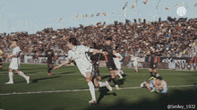 a soccer game is being played in front of a large crowd
