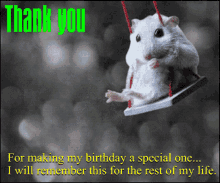 Thank You Birthday GIF - Thank You Birthday Hamster GIFs