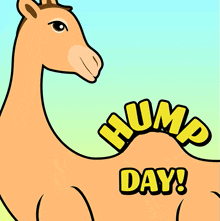 Happy Hump Day Wednesday Is Hump Day GIF - Happy Hump Day Hump Day Wednesday Is Hump Day GIFs
