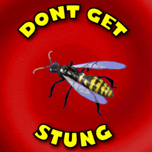 Don'T Get Stung Sting GIF - Don'T Get Stung Sting Wasp GIFs