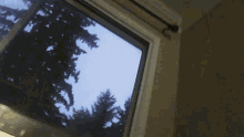 Window Shake GIF - Window Shake Tree GIFs