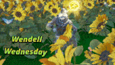 a picture of a wolf in a field of sunflowers that says wednesday on it