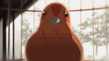 a brown bird with a black beak looks at the camera