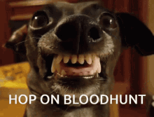Bloodhunt Hop GIF - Bloodhunt Hop On GIFs
