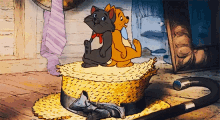 Disney Cat GIF - Disney Cat Dance GIFs