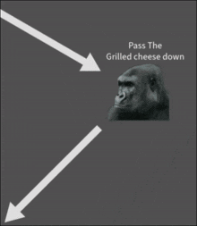 Grilled Cheese Pass The Grilled Cheese GIF - Grilled Cheese Pass The Grilled Cheese Gorilla GIFs