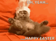 funny happy easter pictures