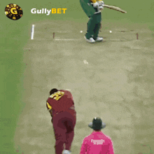 Gullybet Cricket Gifs GIF