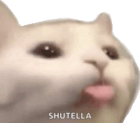 a close up of a cat 's face with its tongue out and the words shutella written on the bottom .