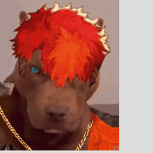 a dog with red hair and blue eyes is wearing an orange shirt