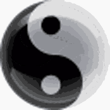 Yin Yang Spin GIF - Yin Yang Spin Yin And Yang GIFs