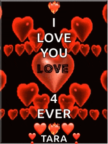 a poster that says ' i love you 4 ever tara '
