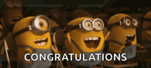 a group of minions are sitting in chairs with their mouths open and the words `` congratulations '' written below them .