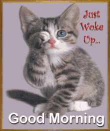 Good Morning Just Woke Up GIF - Good Morning Just Woke Up Rubbing Eyes GIFs