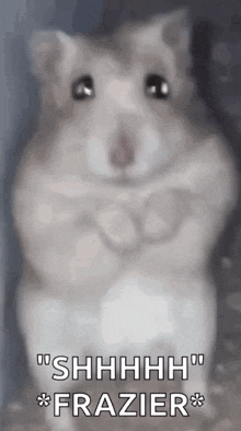 Hampter Hamster GIF - Hampter Hamster Vimen GIFs