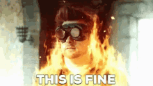 This Is Fine Fire GIF - This Is Fine Fire Flames GIFs