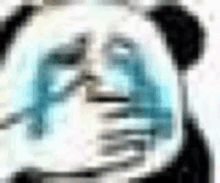 Crying Panda GIF