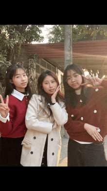 three girls are posing for a picture and one is wearing a red sweater