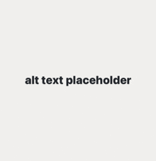 a white background with the words alt text holder written in black on it .