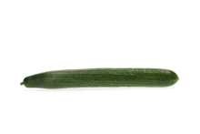 a long green cucumber is sitting on a white surface