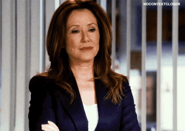 mary mcdonnell the closer