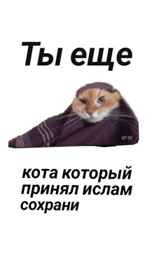 a picture of a cat wrapped in a purple cloth with the time of 07:22