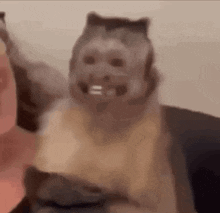 Monkey Smiling GIF - Monkey Smiling Head Tilt GIFs