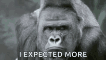Gorilla Hmm GIF - Gorilla Hmm Thinking GIFs