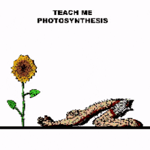 Pray Photosynthesis GIF - Pray Photosynthesis GIFs