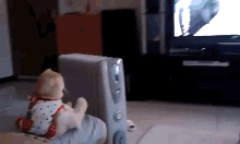 I Thought It Was A Kid  GIF - Cat Tv Human GIFs