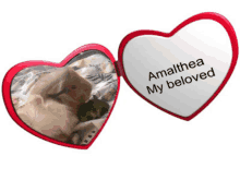 Amalthea My Beloved GIF - Amalthea My Beloved Dogzone GIFs