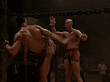 Mixed-martial-arts Cage-fighting GIF - Mixed-martial-arts Cage-fighting Muscular GIFs