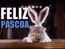 Feliz Páscoa / Coelho Da Páscoa / Coelinho GIF