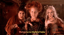 three witches are standing next to each other with the words welcome to herb & fable on the bottom