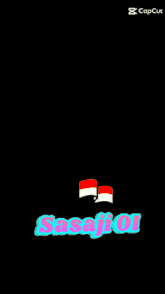 a picture of an explosion with the words sasaji 01 on the bottom