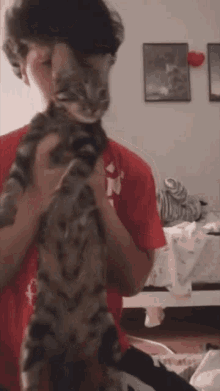 a man is holding a cat in his arms in a room .