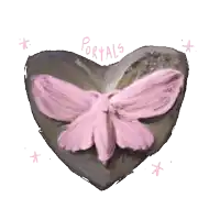 a painting of a pink moth in a heart with the words portals written on it