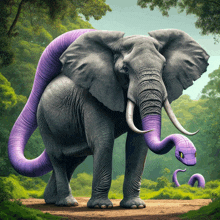 Ekans Elephant Elephant GIF