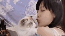 Linfufu Kiss GIF - Linfufu Kiss Cat GIFs