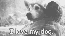 Arya Nimeria GIF - Arya Nimeria I Love My Dog GIFs
